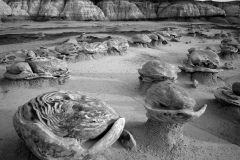 Bisti-Eggs-Bisti-Badlands-New-Mexico